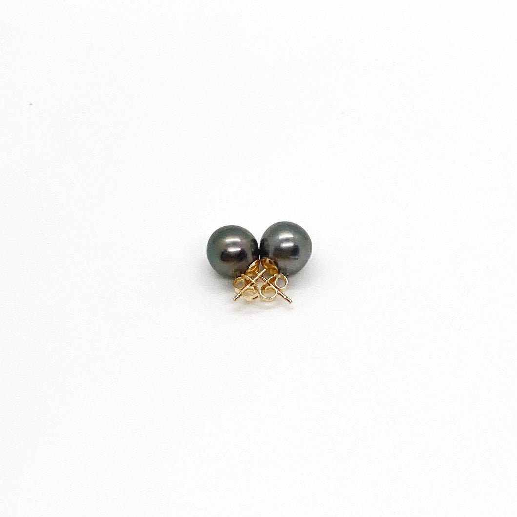 Tahitian Pearl Studs